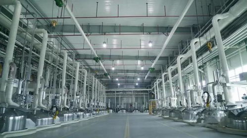 中控技術(shù)賦能三棵樹(shù)四川生態(tài)工業(yè)園 匯聚MES力量的智能工廠實(shí)踐