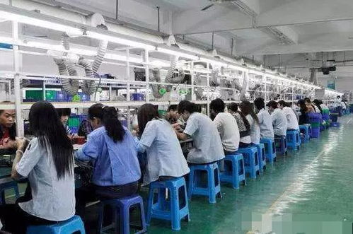 無(wú)學(xué)歷無(wú)技術(shù)背景下的職業(yè)新選擇 技術(shù)推廣崗位的可行性分析