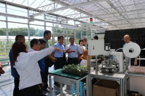 技術(shù)推廣助力曲堤黃瓜產(chǎn)業(yè)發(fā)展，農(nóng)民增收邁上新臺(tái)階