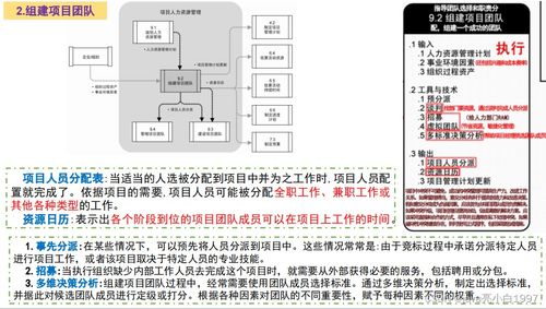 信息系統集成服務中的項目人力資源管理